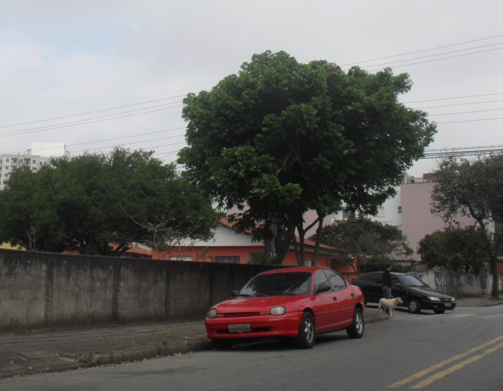 Venda Terreno Santo André - SP